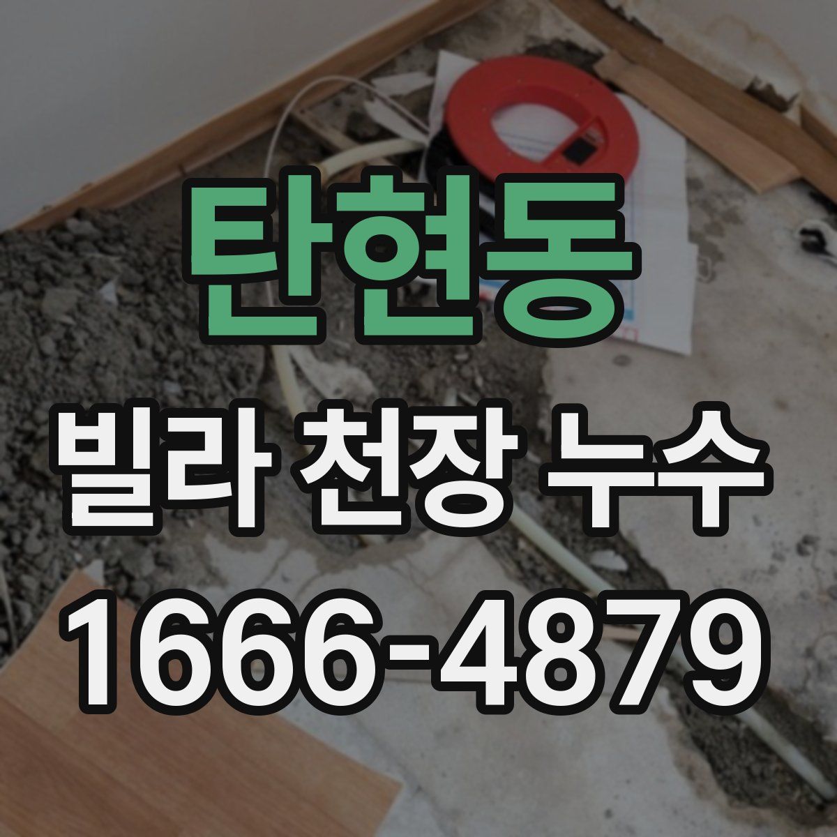 탄현동 빌라 천장 누수