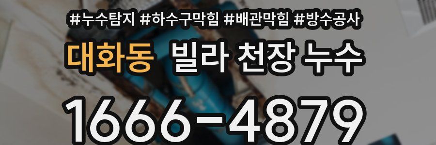 대화동 빌라 천장 누수