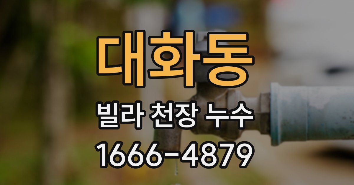 대화동 빌라 천장 누수