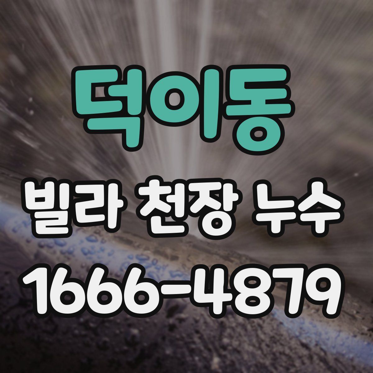 덕이동 빌라 천장 누수