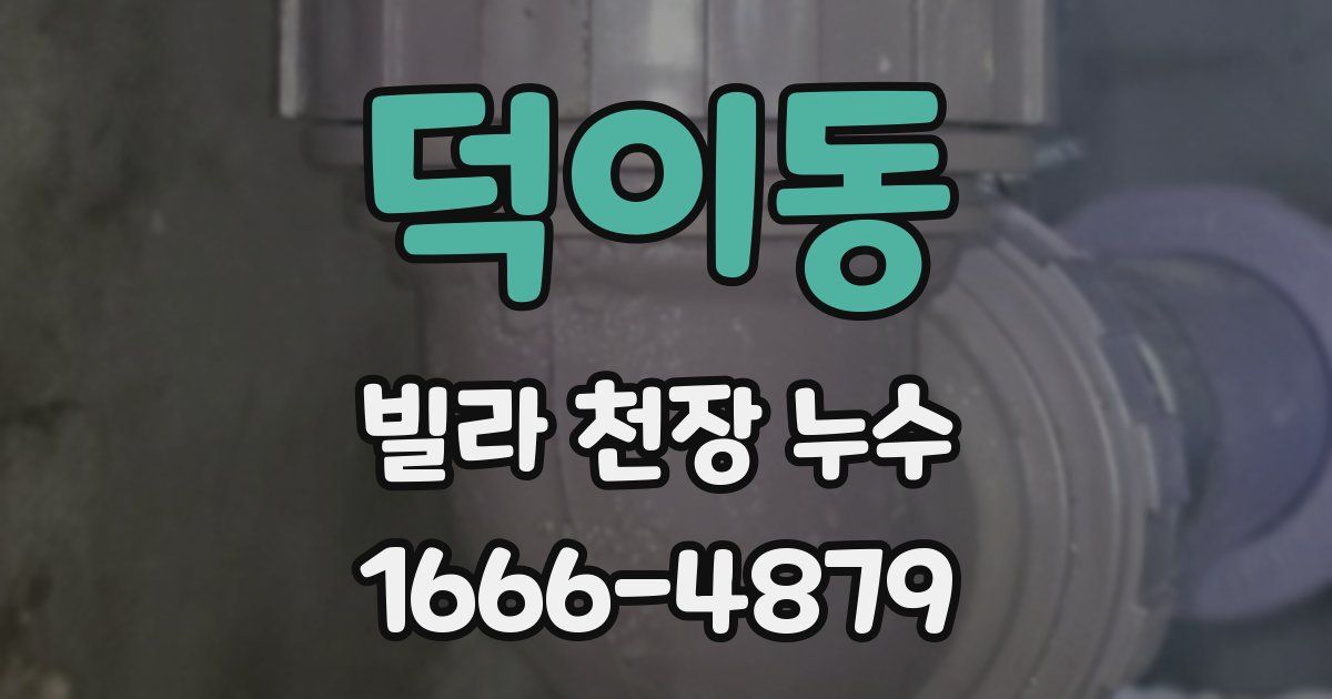 덕이동 빌라 천장 누수