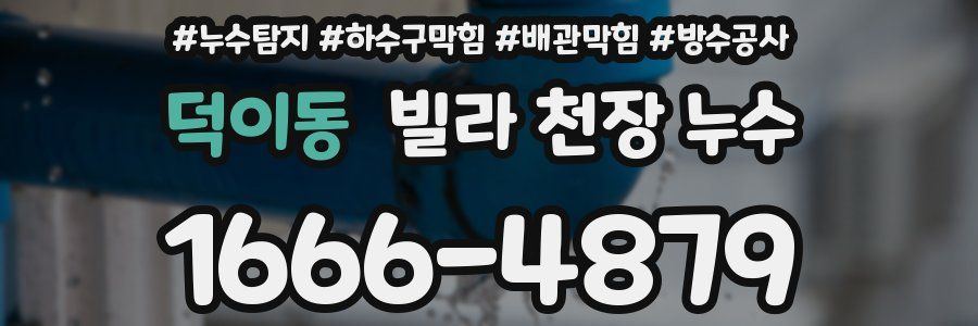 덕이동 빌라 천장 누수