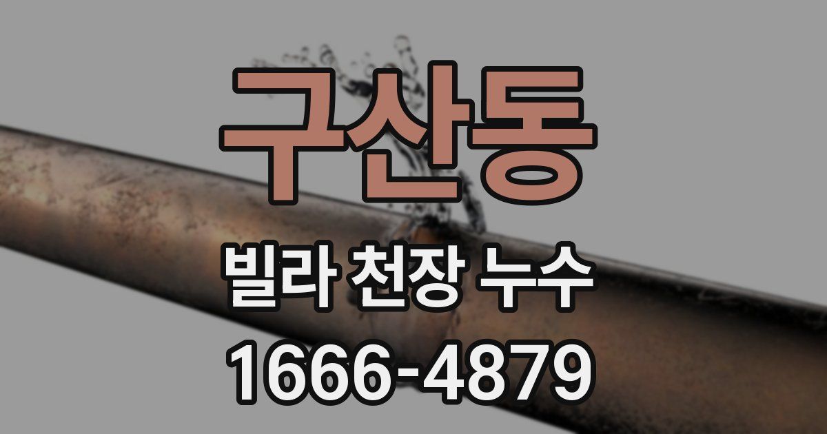 구산동 빌라 천장 누수