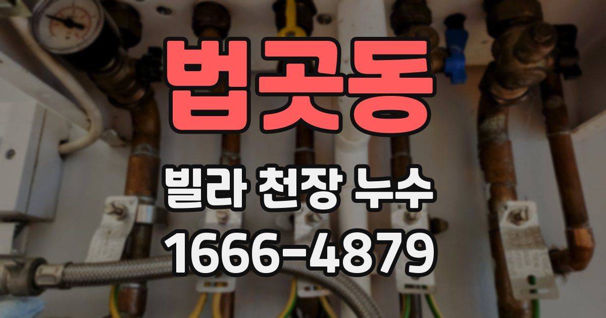 법곳동 빌라 천장 누수