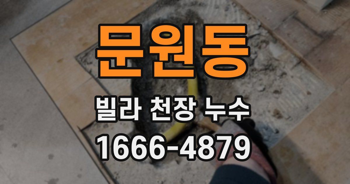 문원동 빌라 천장 누수