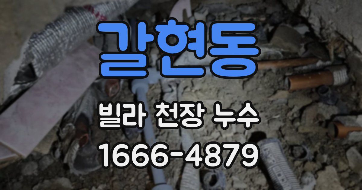 갈현동 빌라 천장 누수