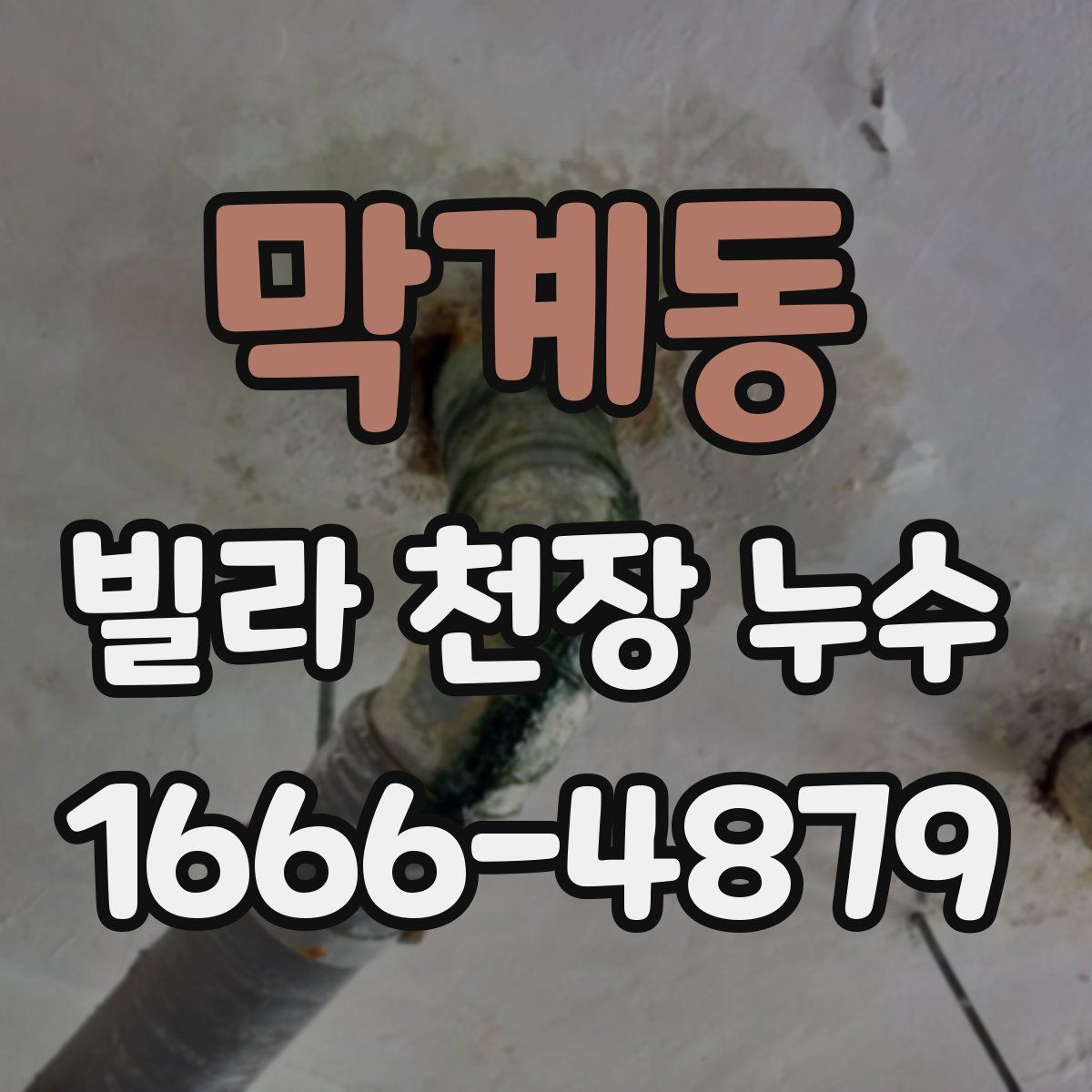 막계동 빌라 천장 누수