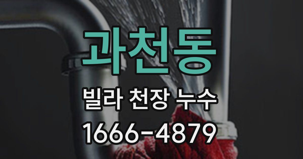 과천동 빌라 천장 누수