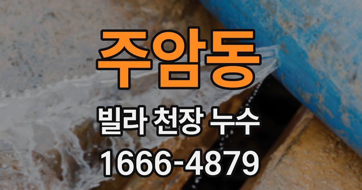 주암동 빌라 천장 누수