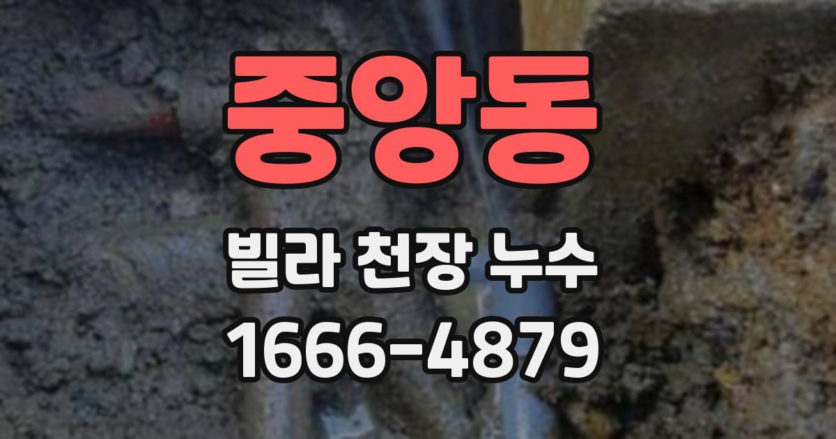 중앙동 빌라 천장 누수