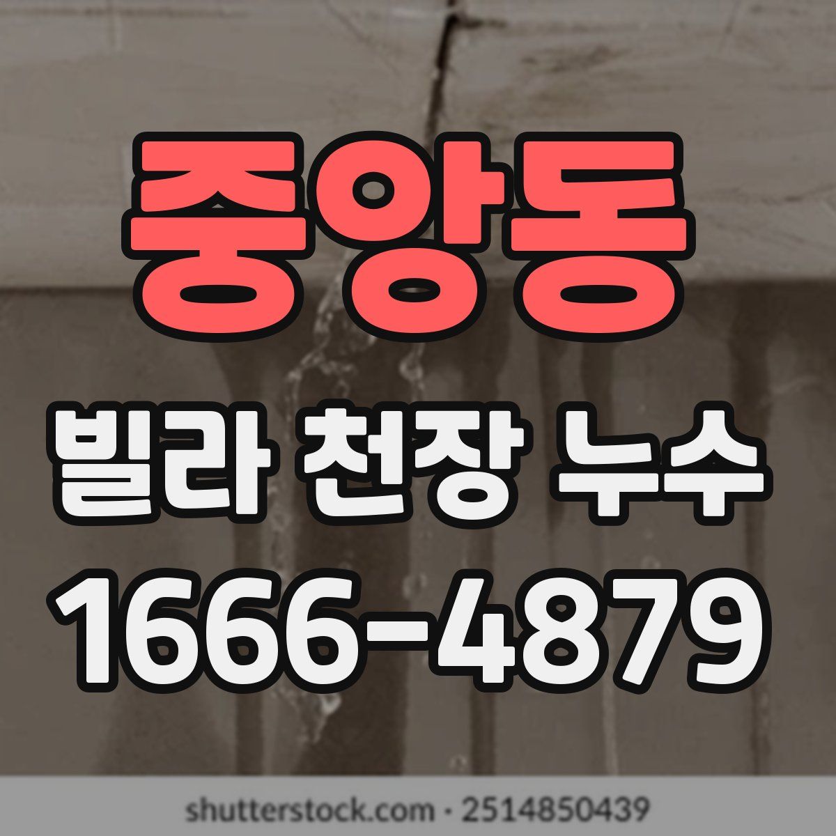 중앙동 빌라 천장 누수