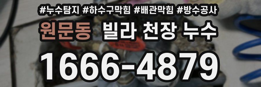 원문동 빌라 천장 누수