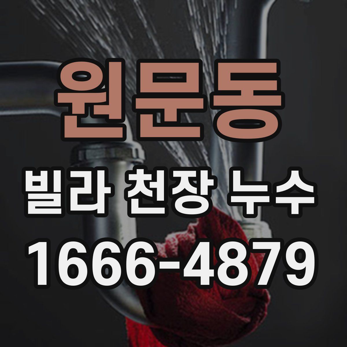 원문동 빌라 천장 누수