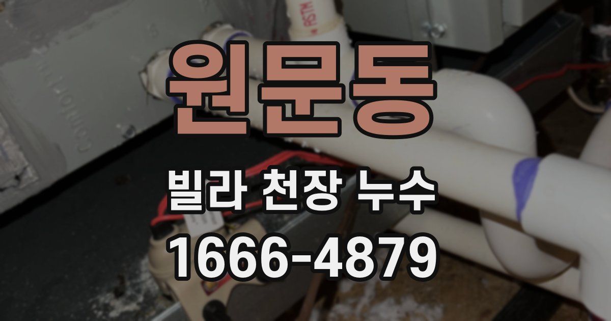 원문동 빌라 천장 누수