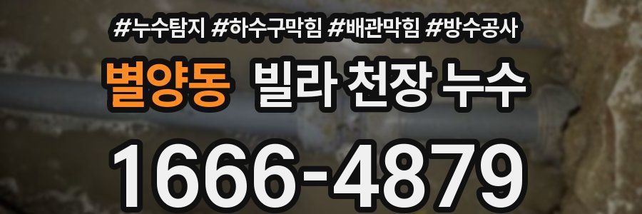 별양동 빌라 천장 누수