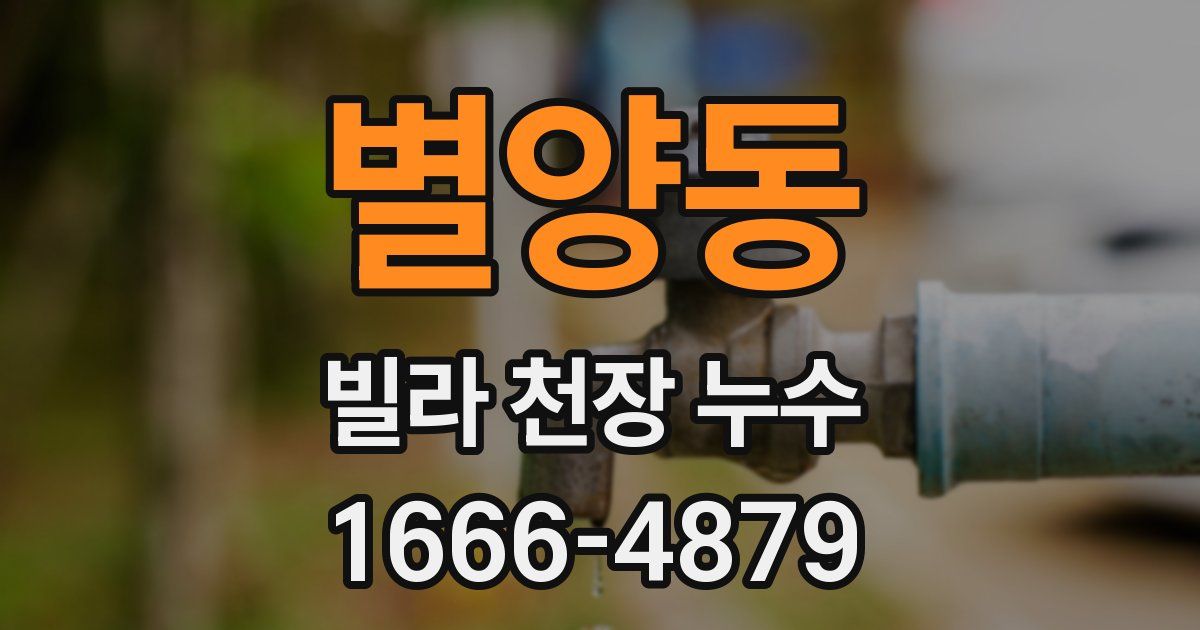 별양동 빌라 천장 누수