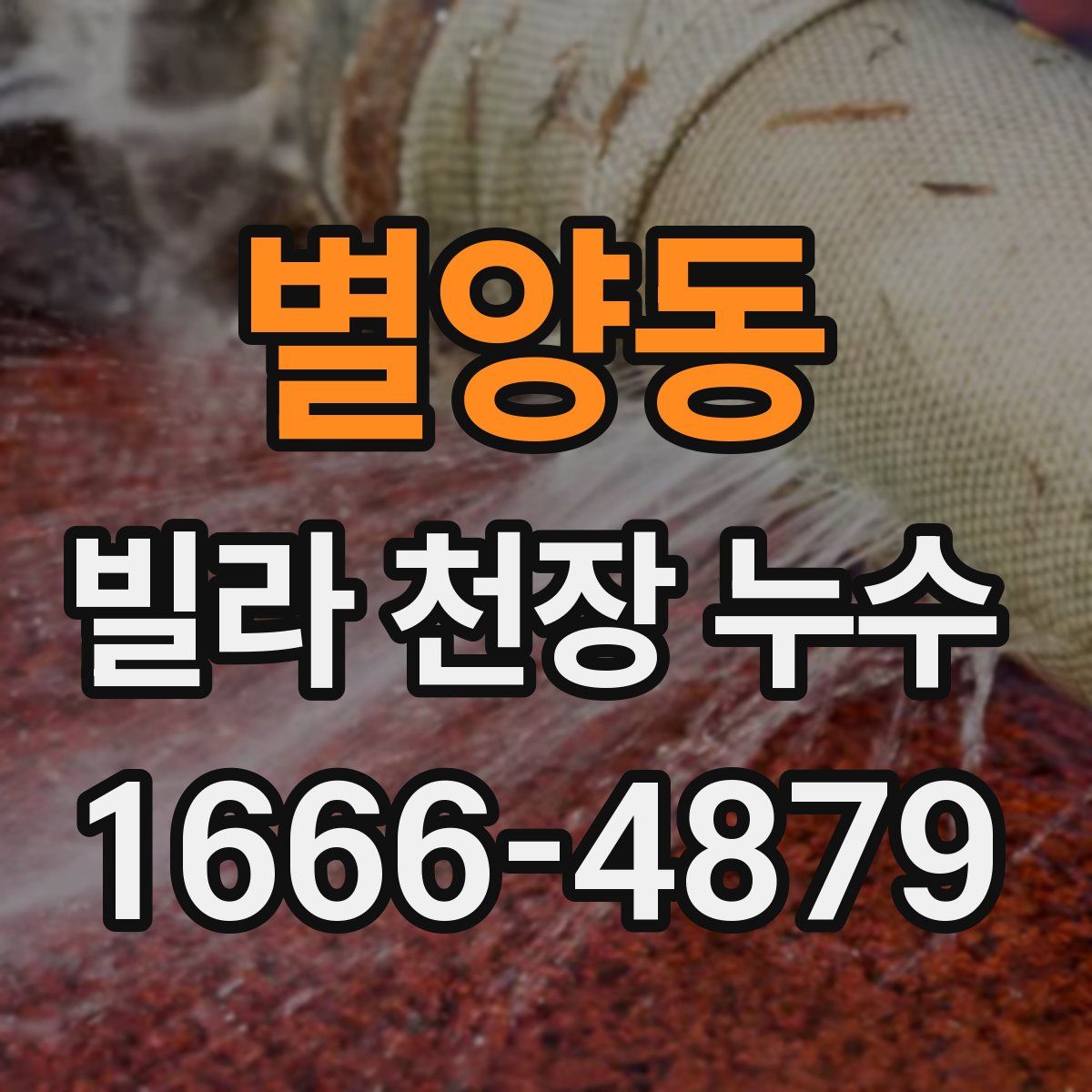별양동 빌라 천장 누수