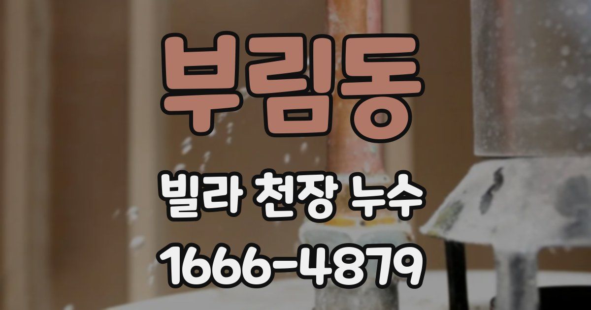 부림동 빌라 천장 누수