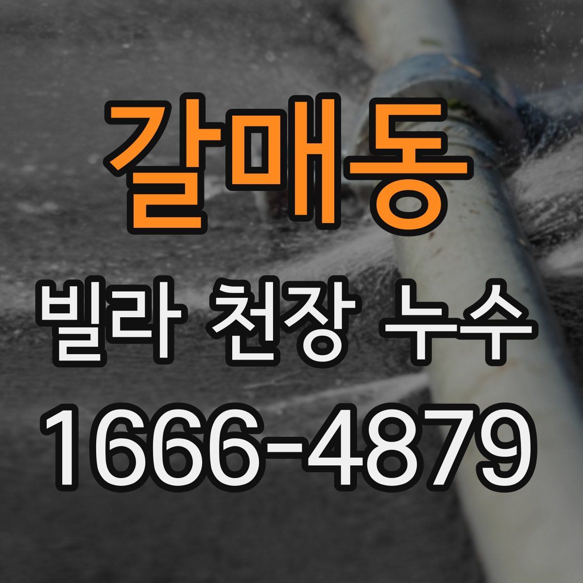 갈매동 빌라 천장 누수