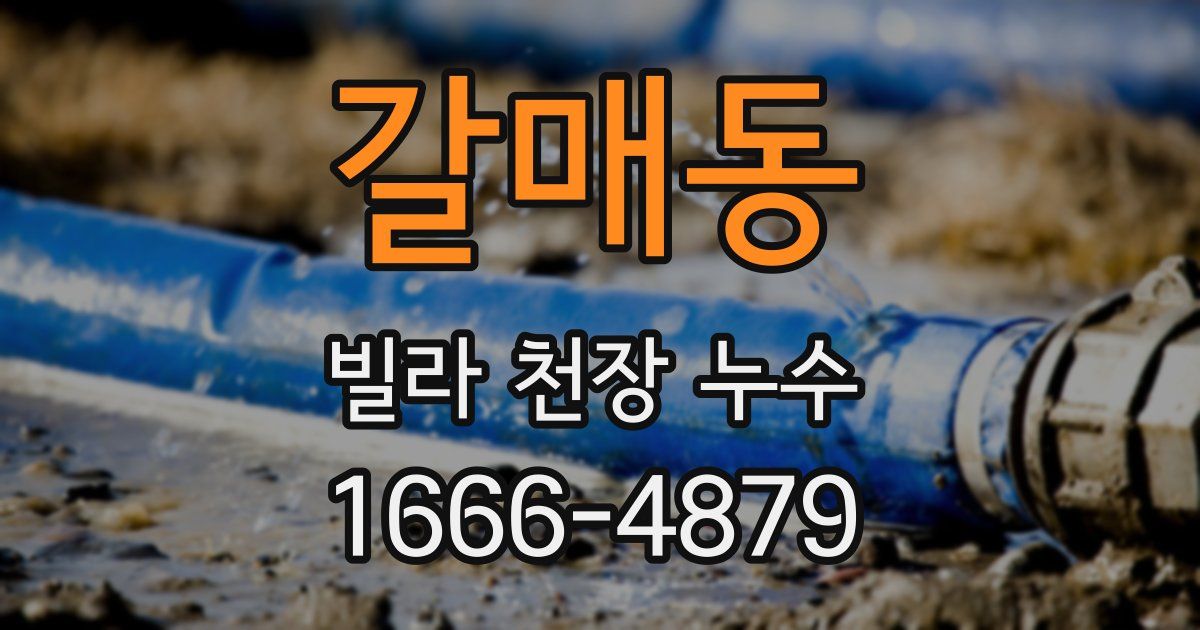 갈매동 빌라 천장 누수