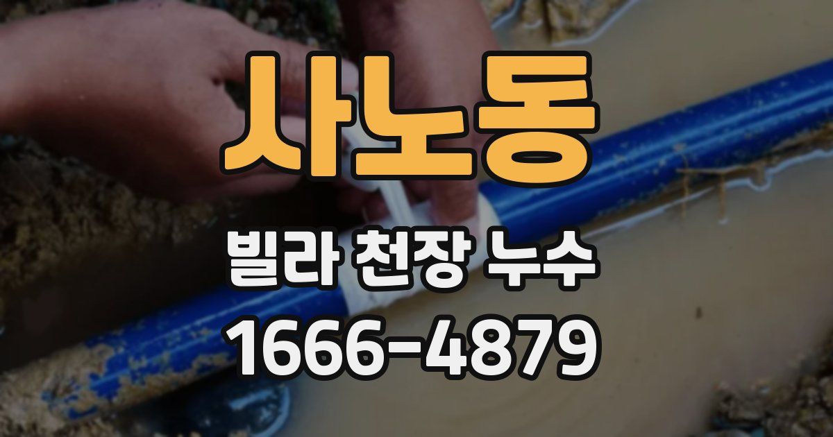 사노동 빌라 천장 누수