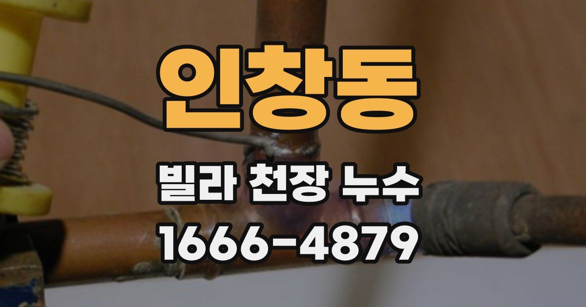 인창동 빌라 천장 누수
