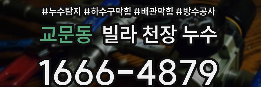 교문동 빌라 천장 누수
