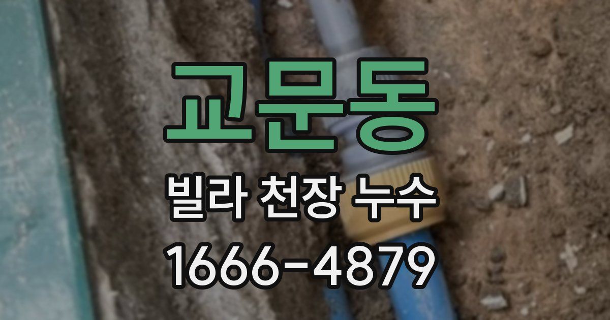 교문동 빌라 천장 누수