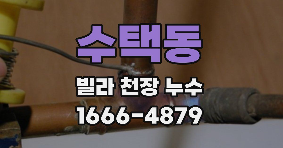 수택동 빌라 천장 누수