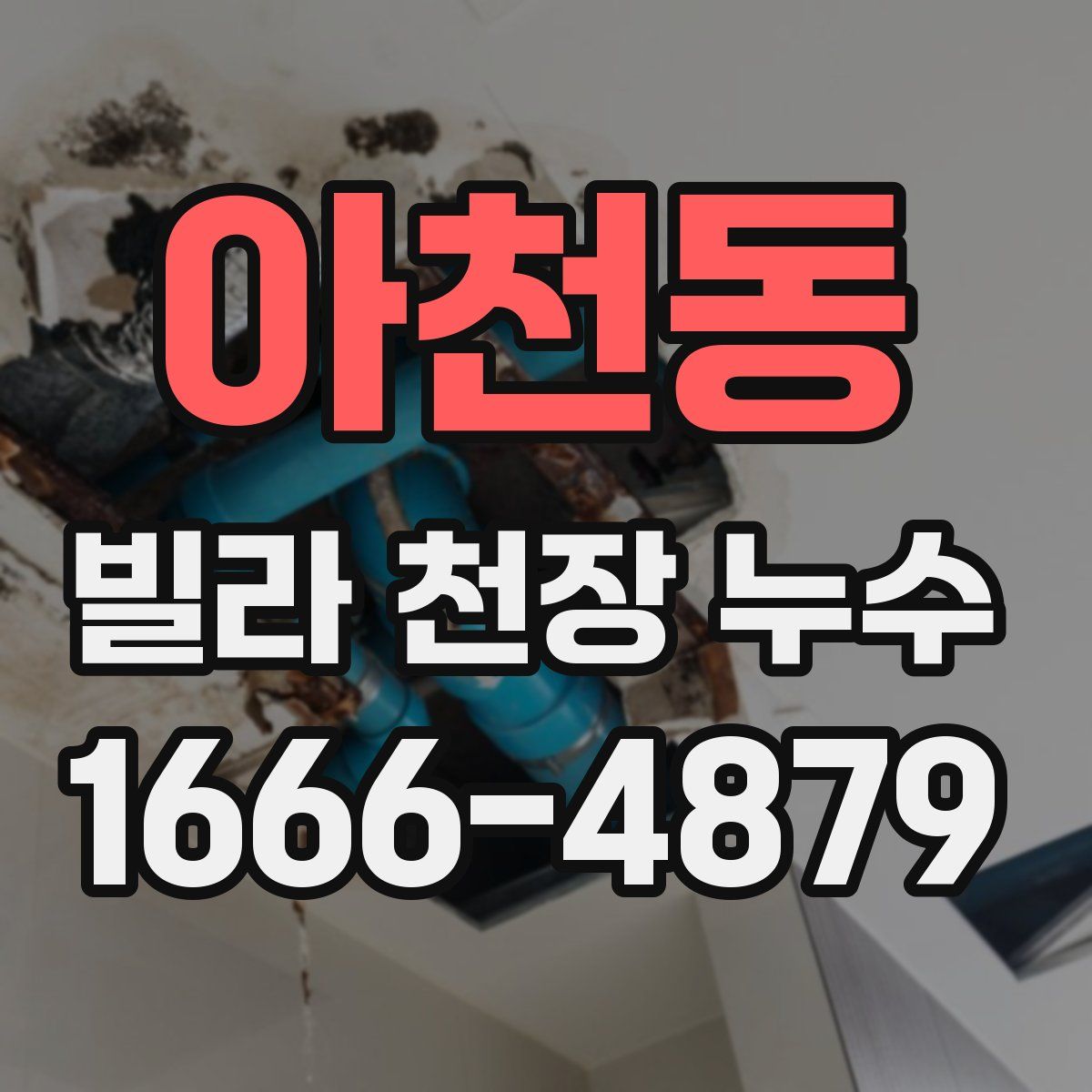 아천동 빌라 천장 누수