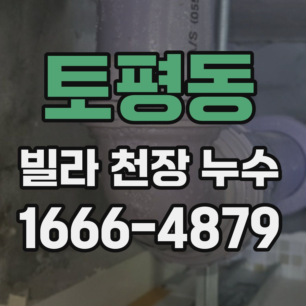 토평동 빌라 천장 누수