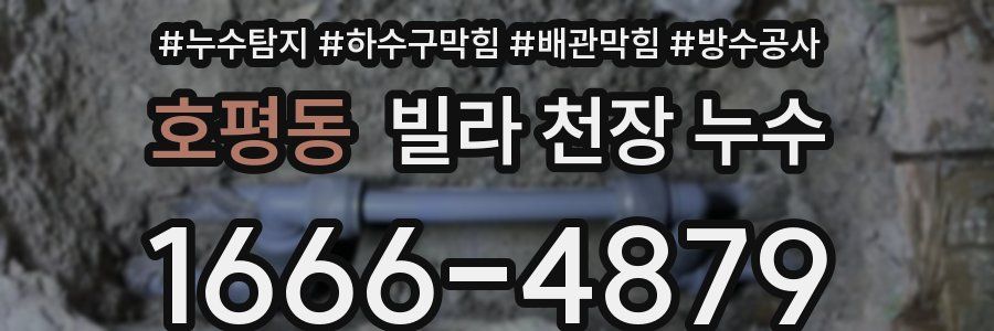 호평동 빌라 천장 누수