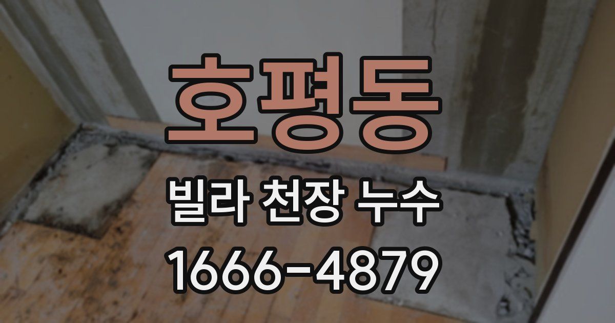 호평동 빌라 천장 누수