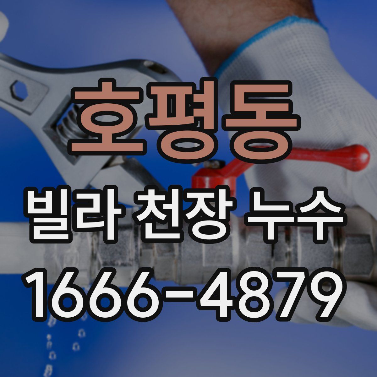호평동 빌라 천장 누수