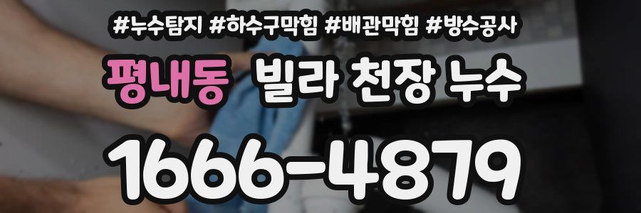 평내동 빌라 천장 누수