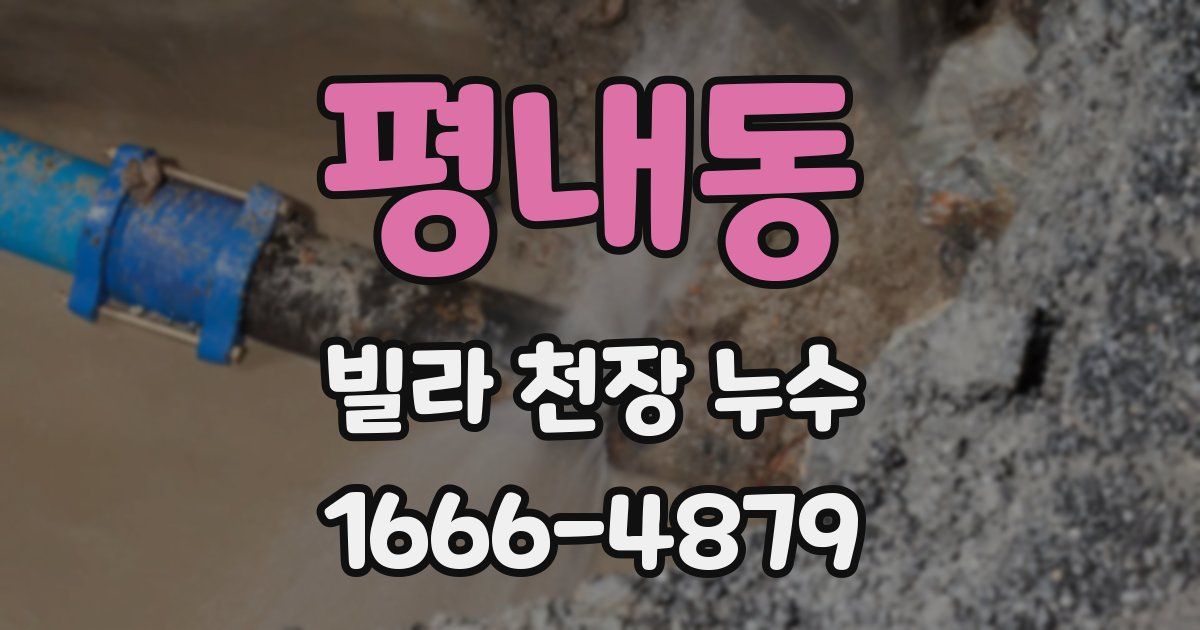 평내동 빌라 천장 누수