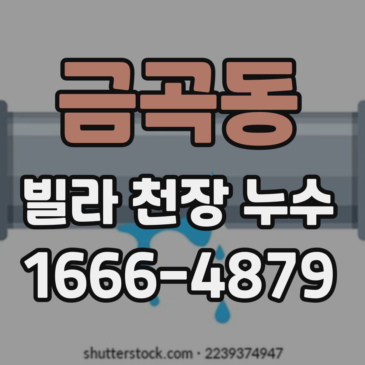 금곡동 빌라 천장 누수