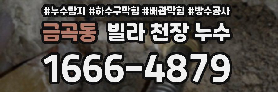 금곡동 빌라 천장 누수