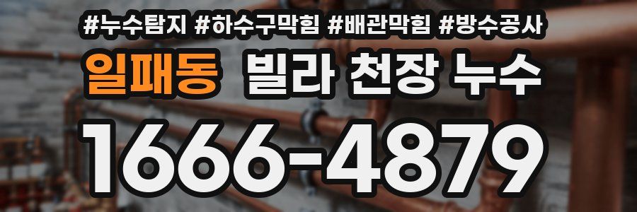 일패동 빌라 천장 누수