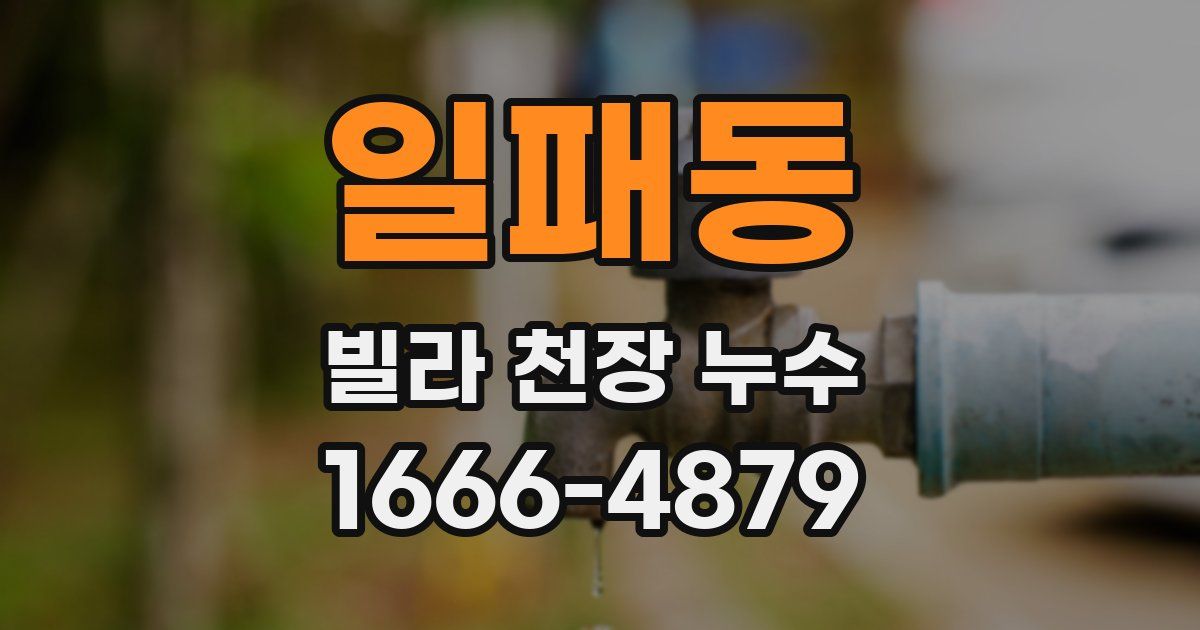 일패동 빌라 천장 누수