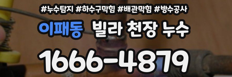 이패동 빌라 천장 누수