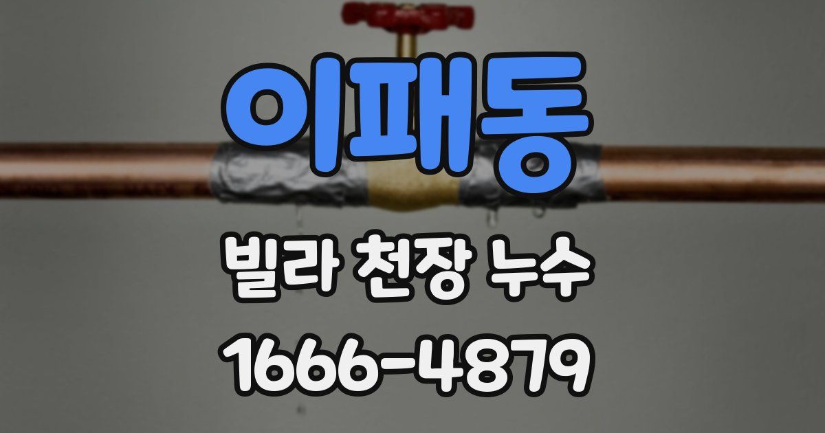 이패동 빌라 천장 누수