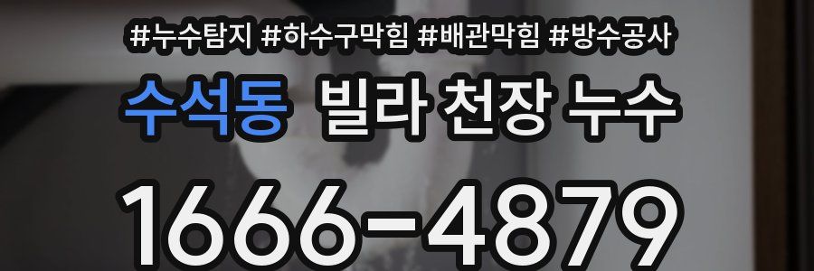 수석동 빌라 천장 누수