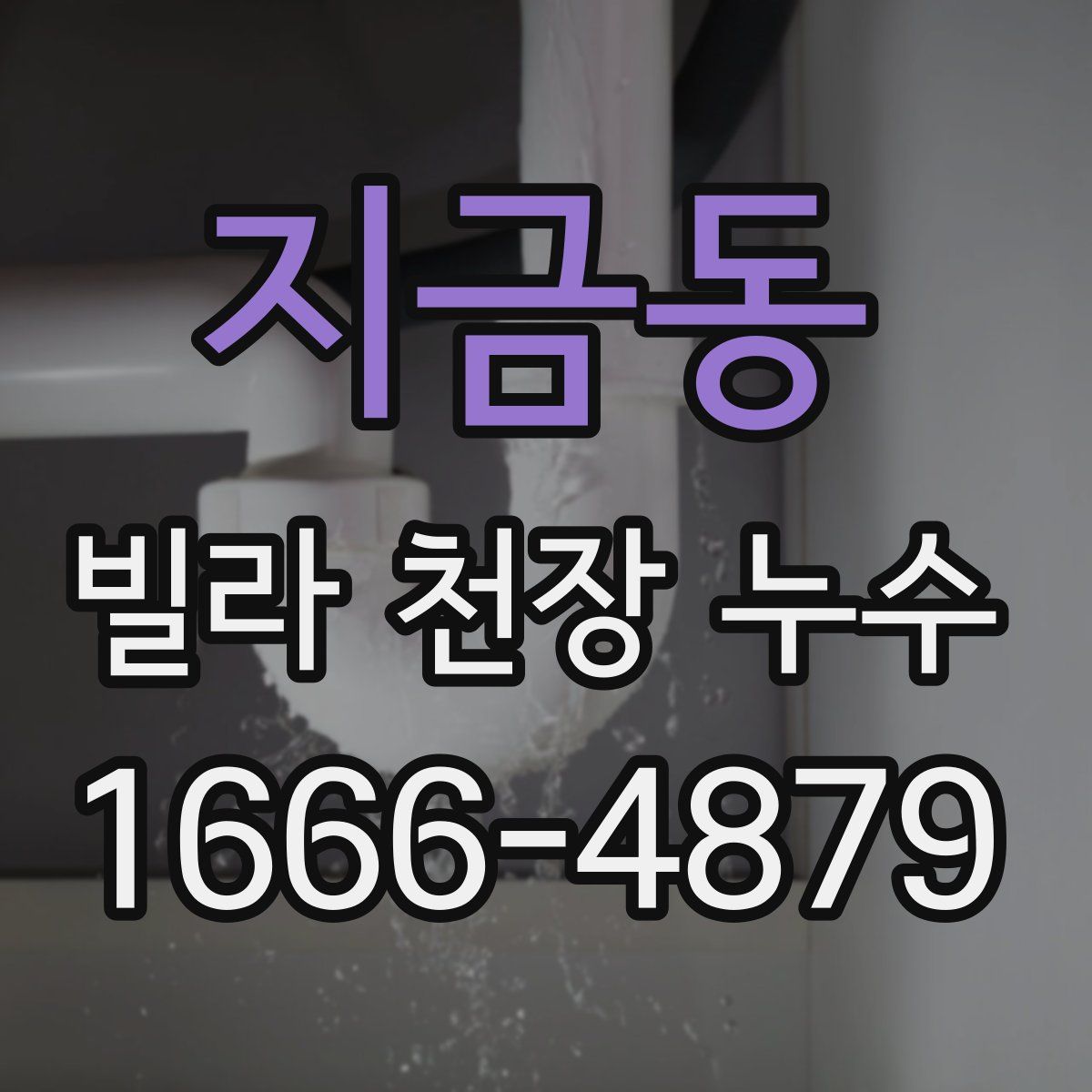 지금동 빌라 천장 누수