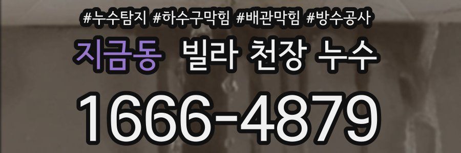 지금동 빌라 천장 누수