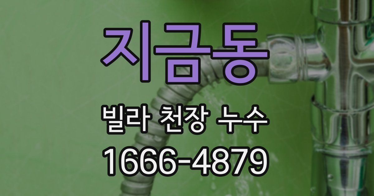 지금동 빌라 천장 누수