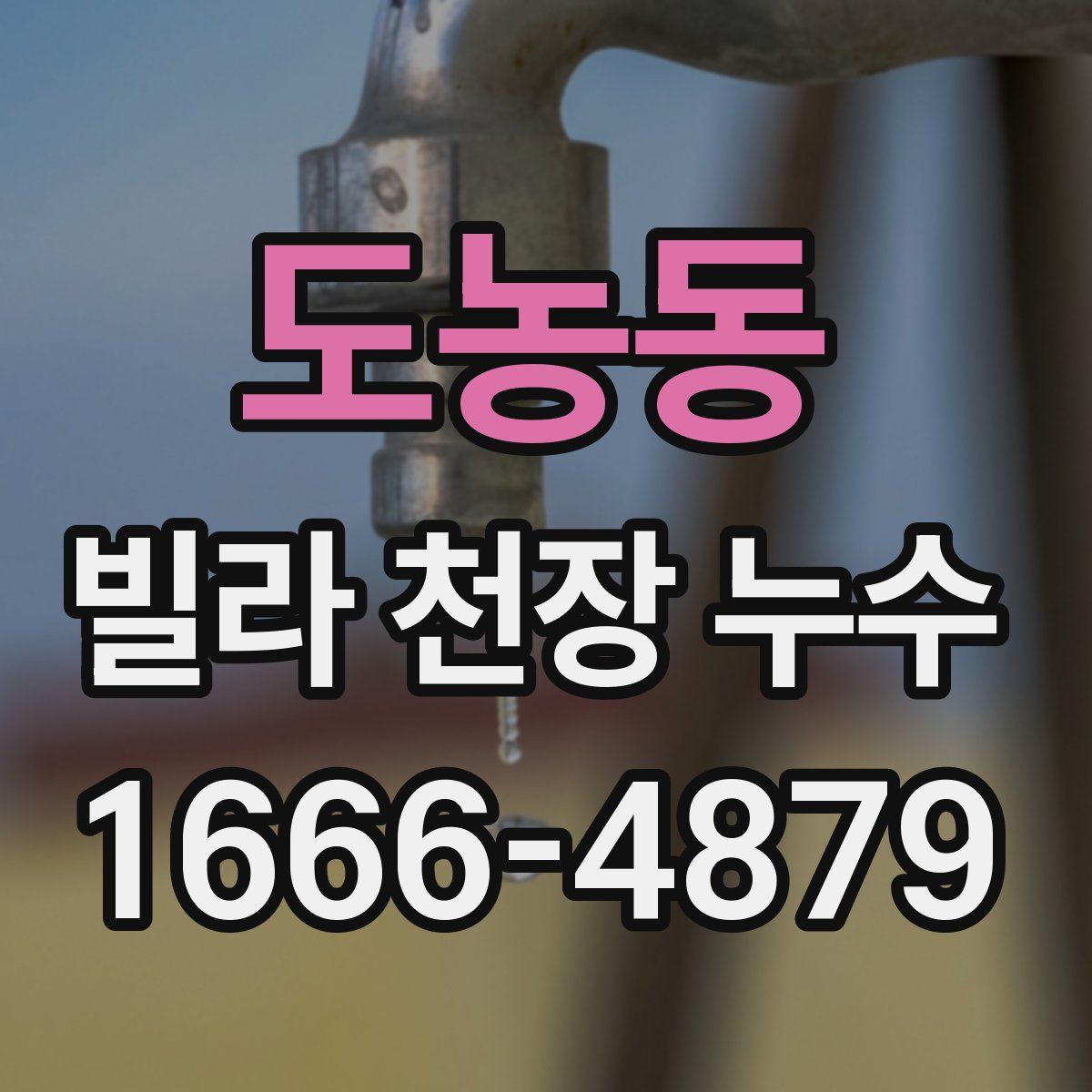 도농동 빌라 천장 누수