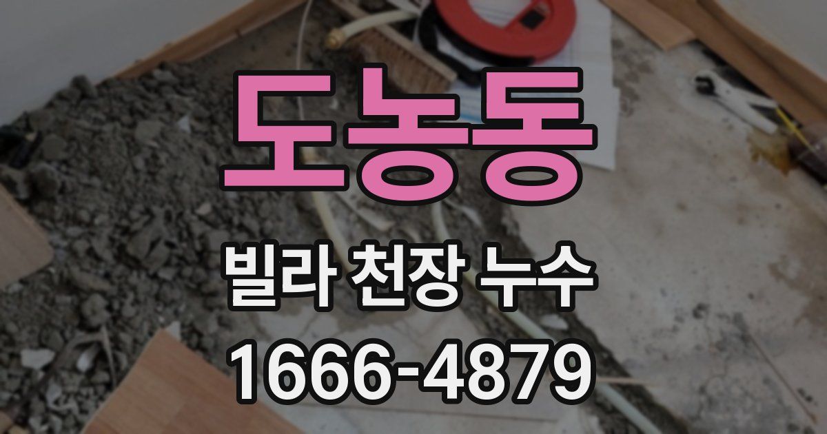 도농동 빌라 천장 누수