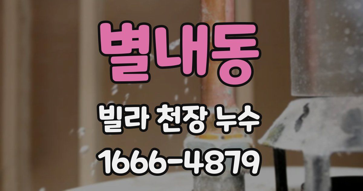 별내동 빌라 천장 누수