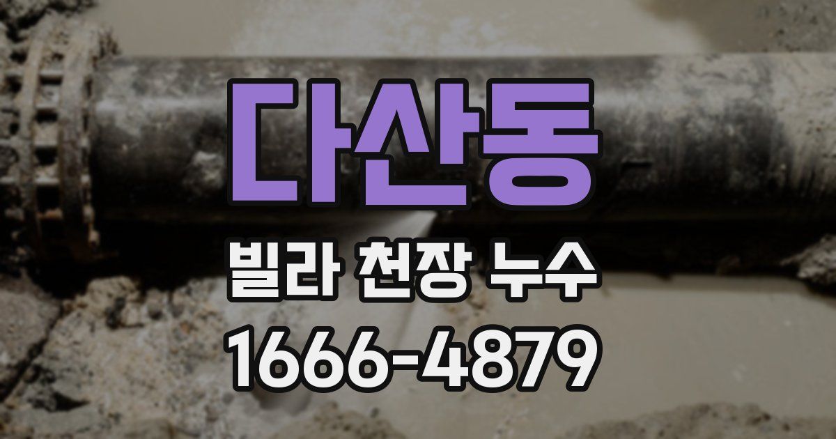 다산동 빌라 천장 누수